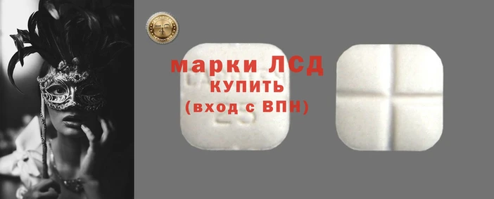 мдпв Грязовец