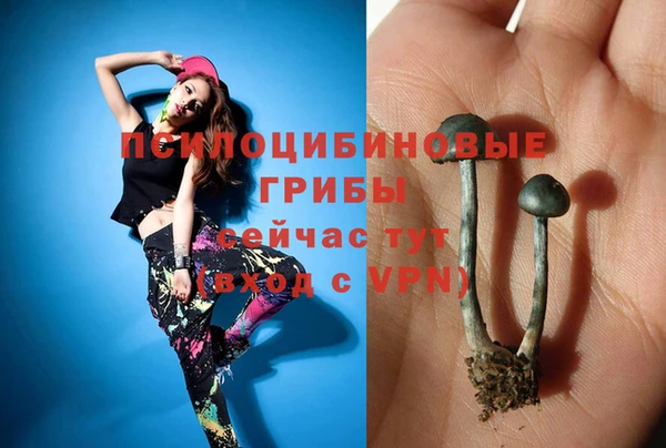 герыч Няндома