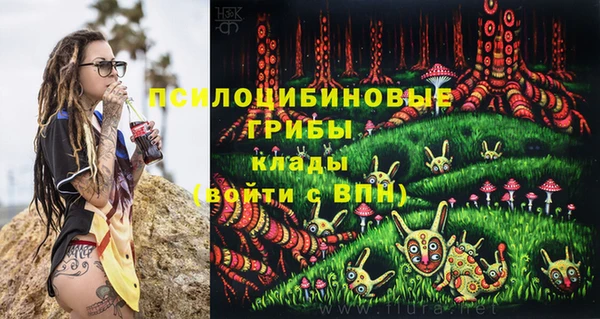 герыч Няндома