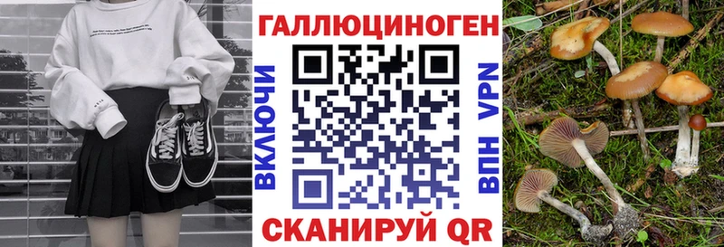 сколько стоит  Нижняя Салда  Галлюциногенные грибы Cubensis 